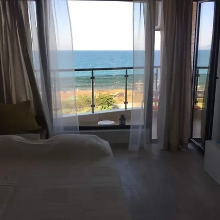 일리카